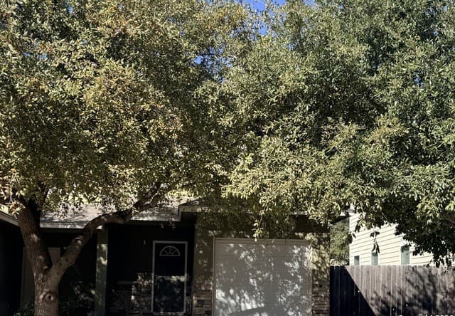 3-bedroom rental at 4921 Stowers Blvd in San Antonio TX