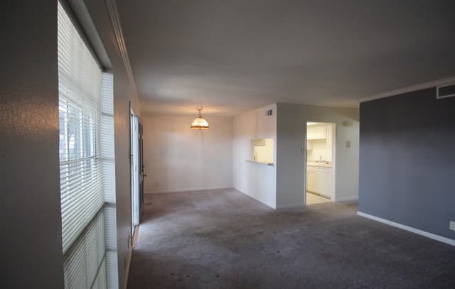 2-bedroom rental at 8401 N New Braunfels Unit 331 in San Antonio, TX — photo 3